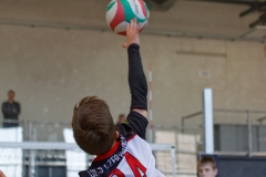 IMG_4213Jarocin