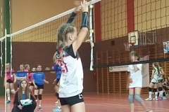szamotuły6